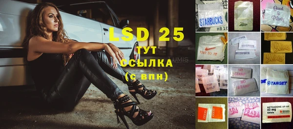 спиды Абаза