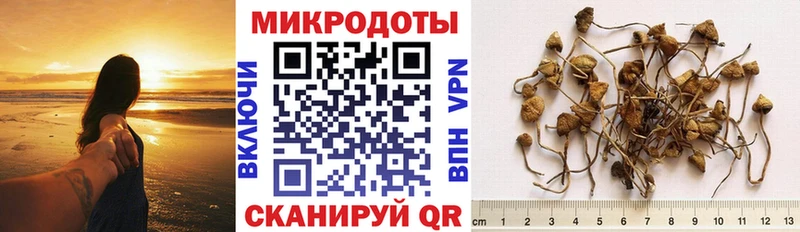 Галлюциногенные грибы MAGIC MUSHROOMS  где купить наркотик  Нахабино 