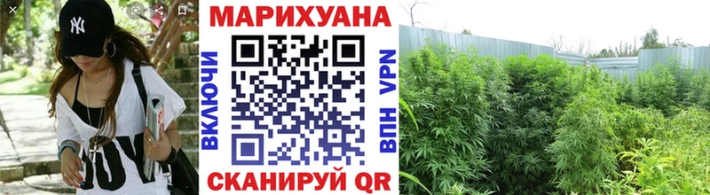 Шишки марихуана сатива  купить  цена  Нахабино 